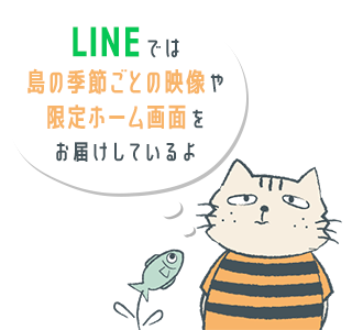 LINEでは島の季節ごとの映像や限定ホーム画面をお届けしているよ