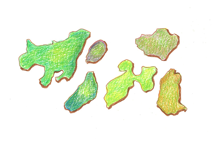 illustration of an image